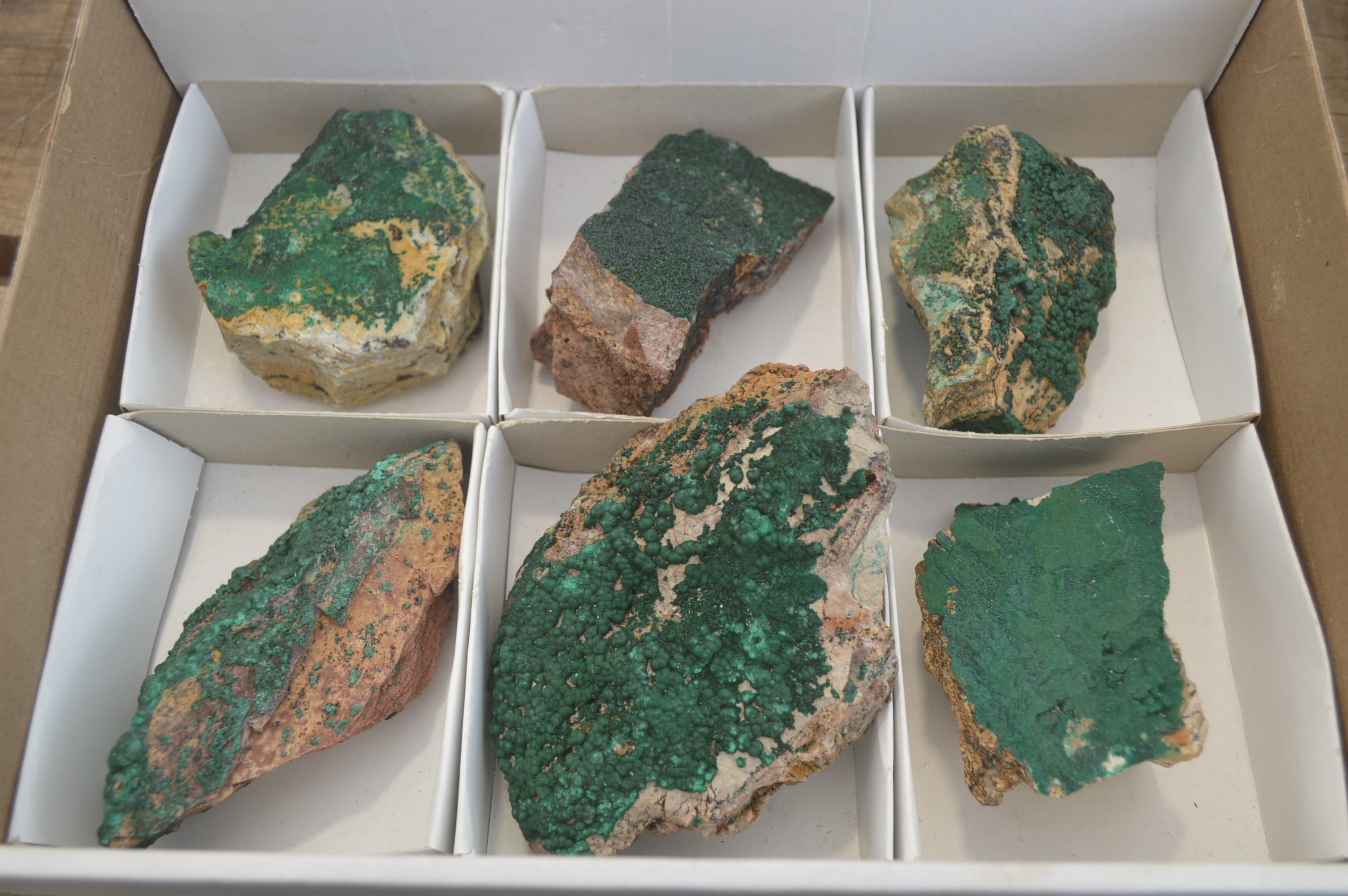 Natural Botryoidal Specimens x 6 From Kolwezi, Congo - Toprock Gemstones and Minerals 