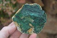 Natural Botryoidal Specimens x 6 From Kolwezi, Congo - Toprock Gemstones and Minerals 