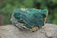 Natural Botryoidal Specimens x 6 From Kolwezi, Congo - Toprock Gemstones and Minerals 