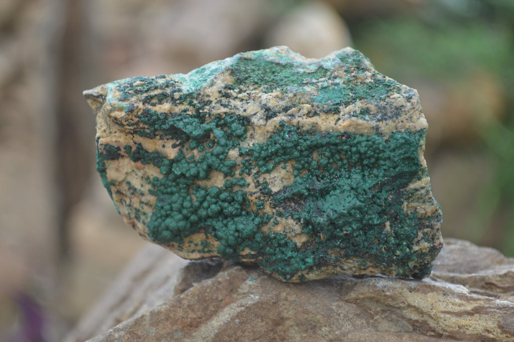 Natural Botryoidal Specimens x 6 From Kolwezi, Congo - Toprock Gemstones and Minerals 