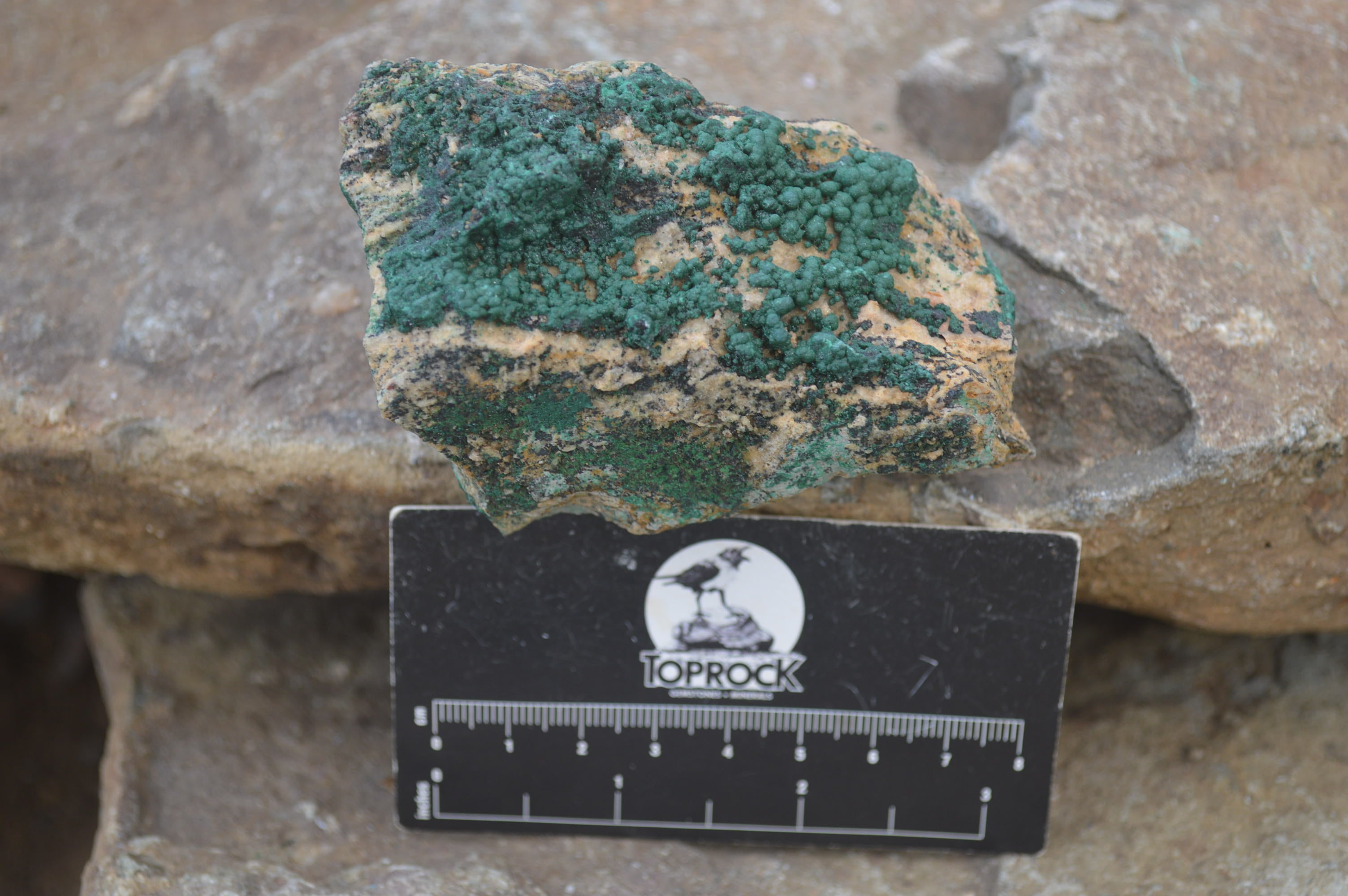 Natural Botryoidal Specimens x 6 From Kolwezi, Congo - Toprock Gemstones and Minerals 