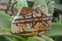 Polished On One Side Nguni Jasper Specimens x 2 From Prieska, South Africa - Toprock Gemstones and Minerals 