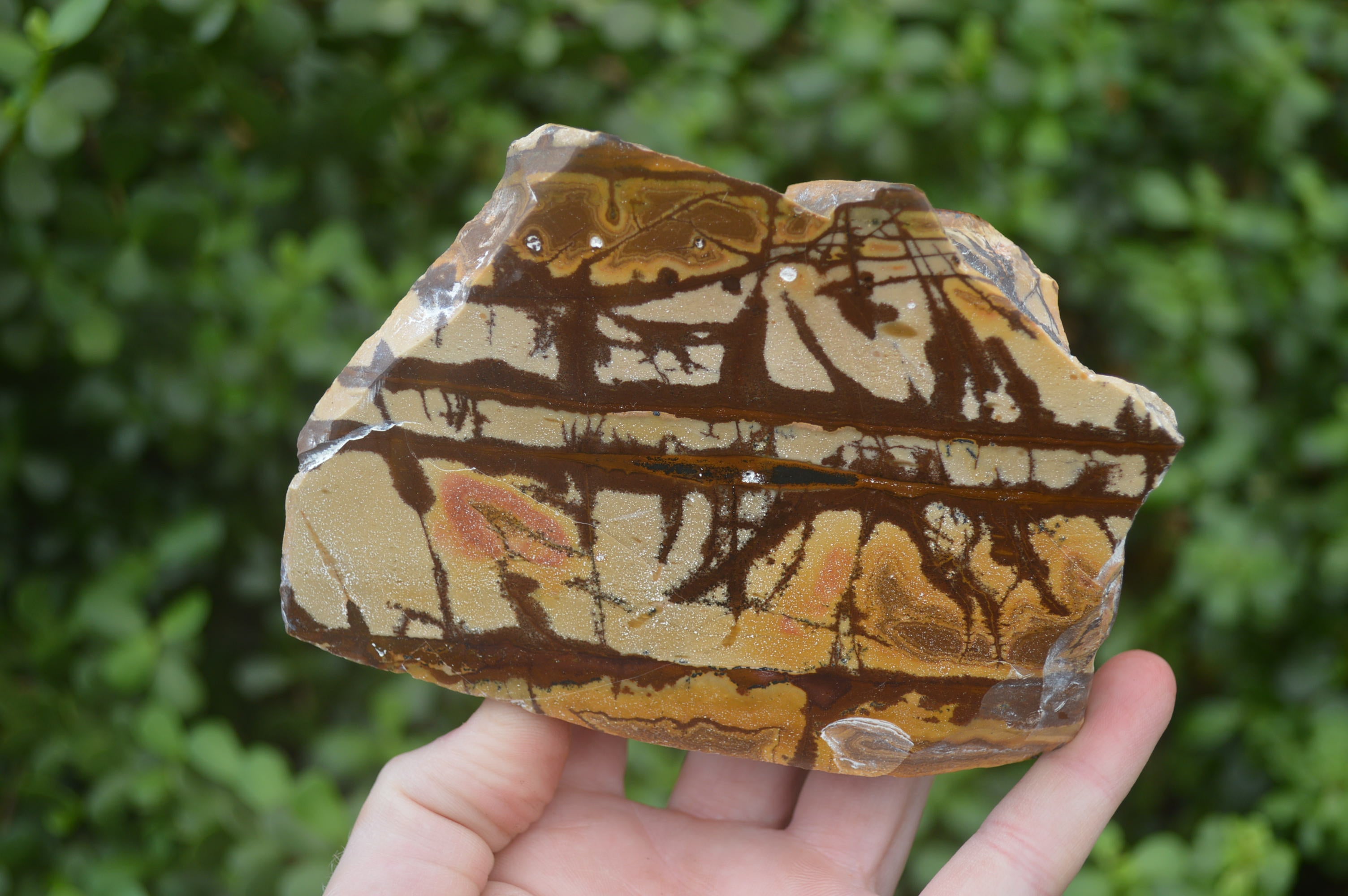 Polished On One Side Nguni Jasper Specimens x 2 From Prieska, South Africa - Toprock Gemstones and Minerals 