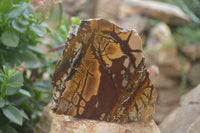 Polished On One Side Nguni Jasper Specimens x 2 From Prieska, South Africa - Toprock Gemstones and Minerals 