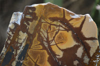 Polished On One Side Nguni Jasper Specimens x 2 From Prieska, South Africa - Toprock Gemstones and Minerals 