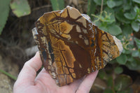 Polished On One Side Nguni Jasper Specimens x 2 From Prieska, South Africa - Toprock Gemstones and Minerals 