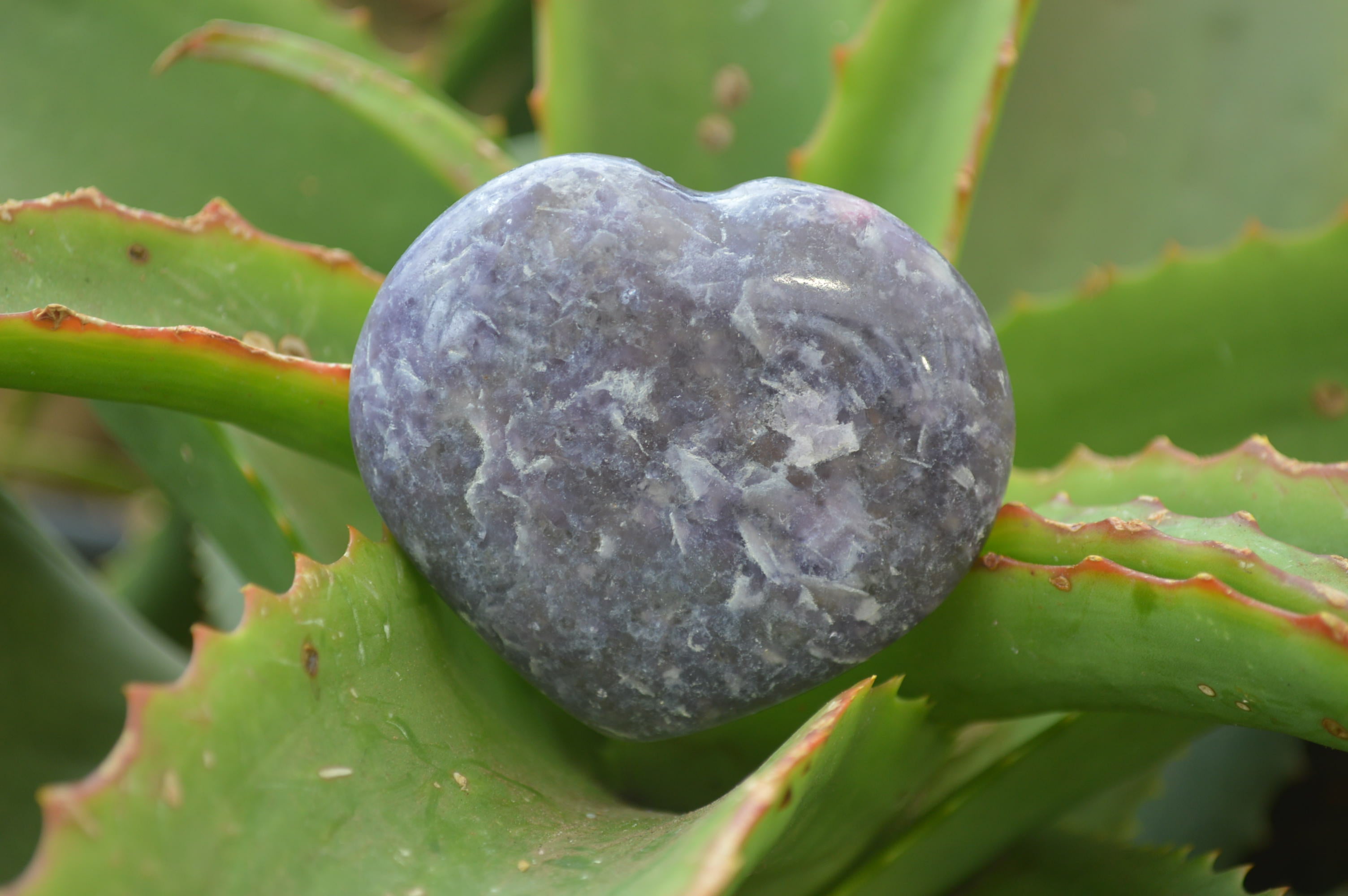 Polished Lepidolite With Rubellite Hearts x 6 From Madagascar - Toprock Gemstones and Minerals 