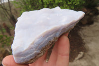Natural Crystalline Blue Lace Agate Plates x 6 From Namibia - Toprock Gemstones and Minerals 