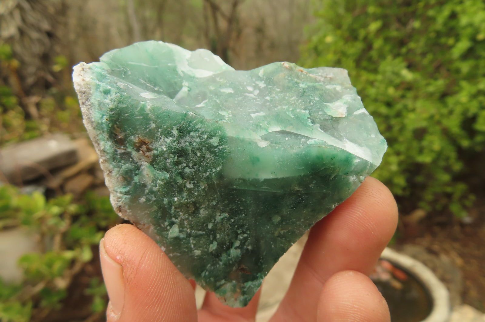 Natural Green Jade Cobbed Specimens x 12 From Swaziland