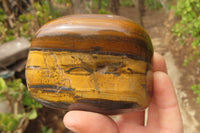 Polished Tiger's Eye Free Forms x 4 From Prieska, South Africa