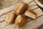Polished Tiger's Eye Free Forms x 4 From Prieska, South Africa - Toprock Gemstones and Minerals 