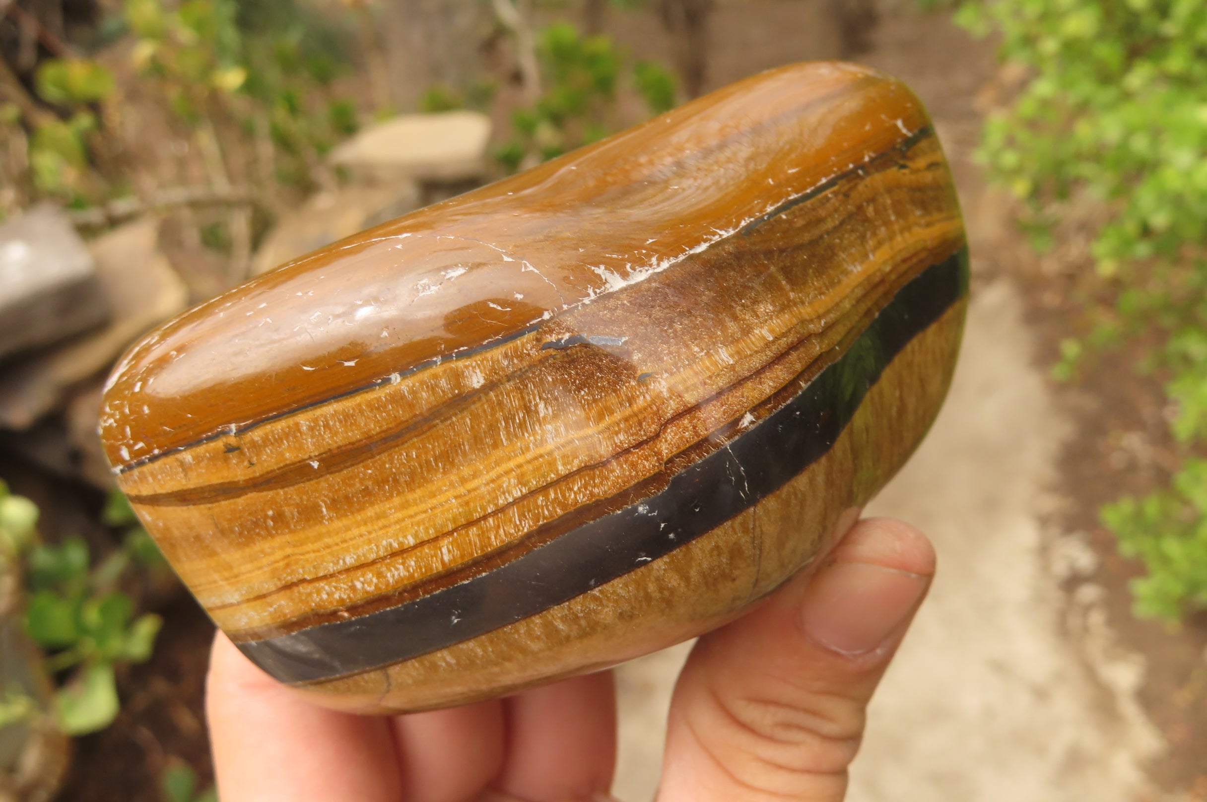 Polished Tiger's Eye Free Forms x 4 From Prieska, South Africa - Toprock Gemstones and Minerals 