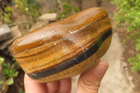 Polished Tiger's Eye Free Forms x 4 From Prieska, South Africa