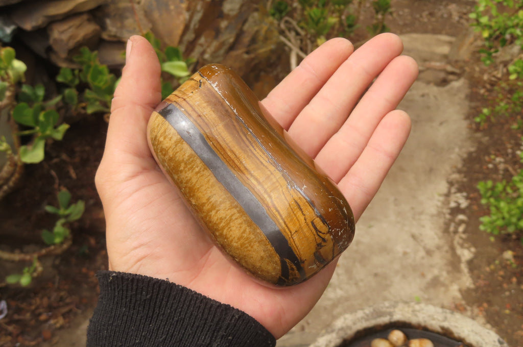 Polished Tiger's Eye Free Forms x 4 From Prieska, South Africa - Toprock Gemstones and Minerals 
