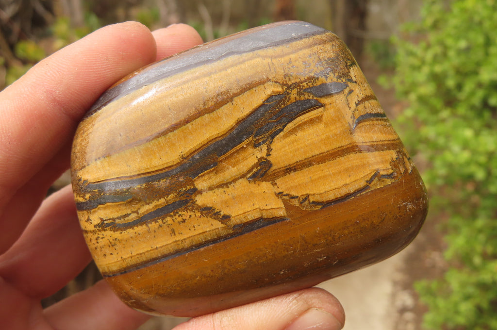 Polished Tiger's Eye Free Forms x 4 From Prieska, South Africa - Toprock Gemstones and Minerals 