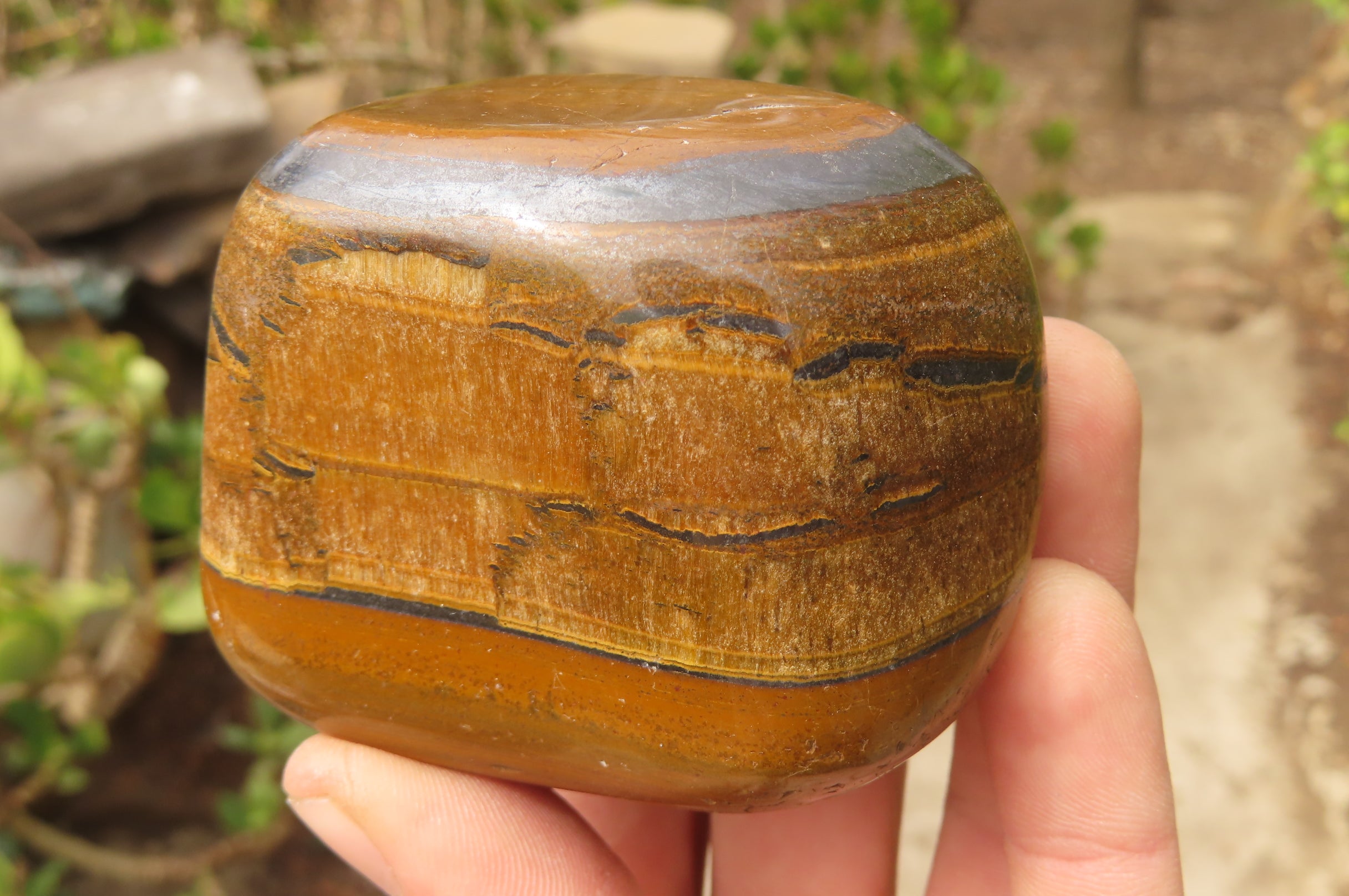 Polished Tiger's Eye Free Forms x 4 From Prieska, South Africa - Toprock Gemstones and Minerals 