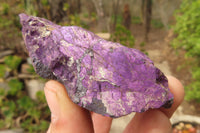 Natural Metallic Purpurite Cobbed Specimens x 12 From Erongo, Namibia - Toprock Gemstones and Minerals 