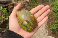 Polished Green Opal Standing Free Forms x 6 From Antsirabe, Madagascar - Toprock Gemstones and Minerals 