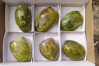Polished Green Opal Standing Free Forms x 6 From Antsirabe, Madagascar - Toprock Gemstones and Minerals 