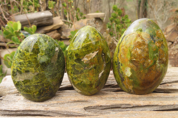 Polished Green Opal Standing Free Forms x 6 From Antsirabe, Madagascar - Toprock Gemstones and Minerals 