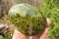 Polished Green Opal Standing Free Forms x 6 From Antsirabe, Madagascar - Toprock Gemstones and Minerals 