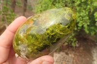 Polished Green Opal Standing Free Forms x 6 From Antsirabe, Madagascar - Toprock Gemstones and Minerals 