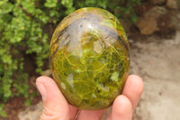 Polished Green Opal Standing Free Forms x 6 From Antsirabe, Madagascar - Toprock Gemstones and Minerals 