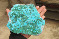 Natural Botryoidal Malacolla Specimens x 3 From Kulukuluku, Congo - Toprock Gemstones and Minerals 