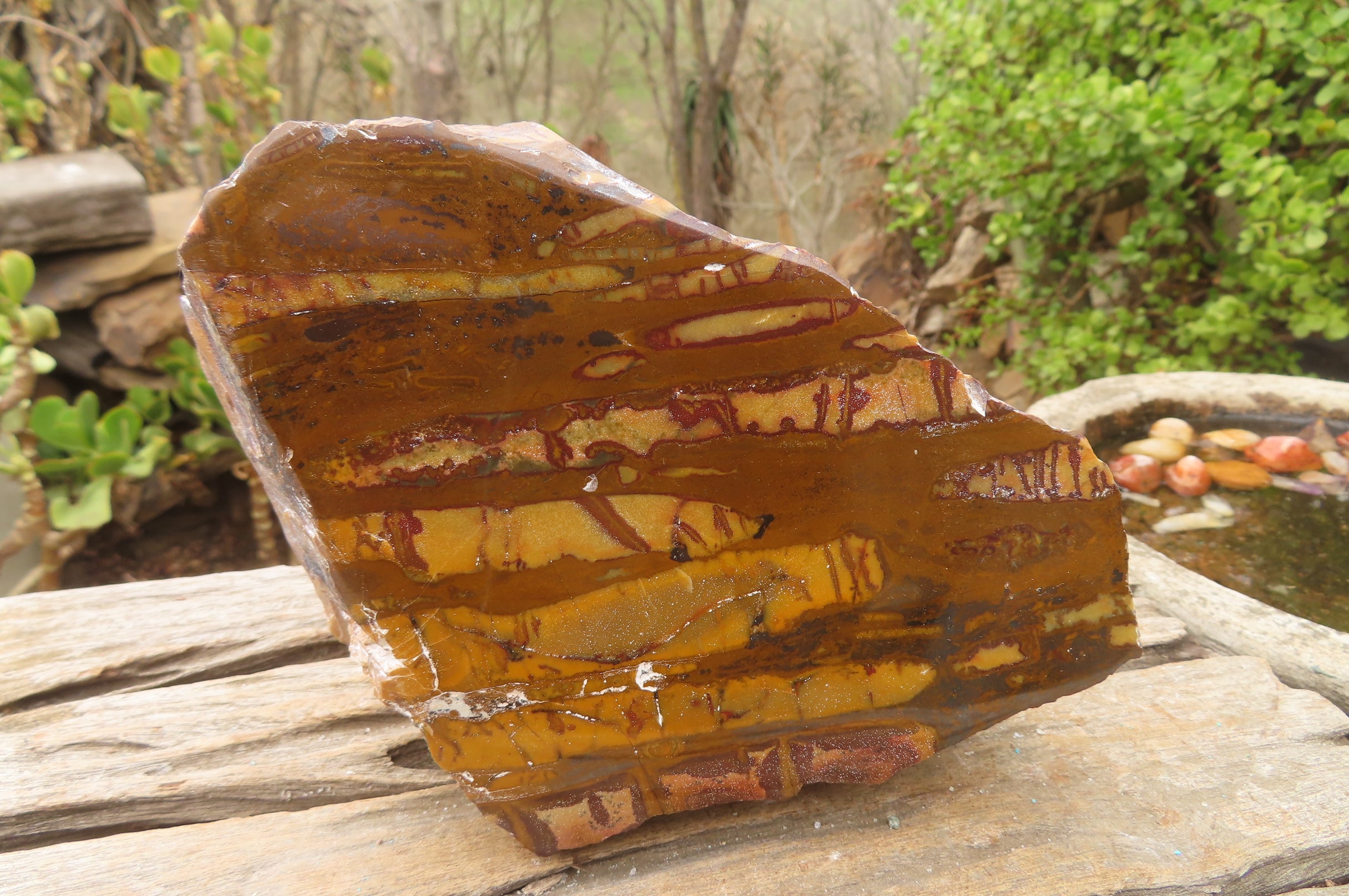 Polished On One Side Nguni Jasper Specimen x 1 From Prieska, South Africa - Toprock Gemstones and Minerals 