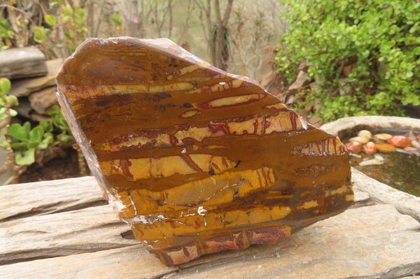 Polished On One Side Nguni Jasper Specimen x 1 From Prieska, South Africa - Toprock Gemstones and Minerals 