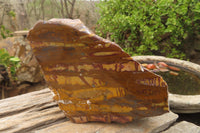 Polished On One Side Nguni Jasper Specimen x 1 From Prieska, South Africa - Toprock Gemstones and Minerals 