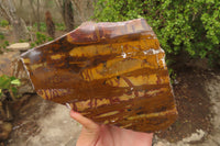 Polished On One Side Nguni Jasper Specimen x 1 From Prieska, South Africa - Toprock Gemstones and Minerals 