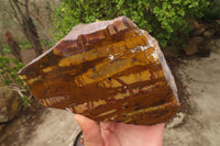 Polished On One Side Nguni Jasper Specimen x 1 From Prieska, South Africa - Toprock Gemstones and Minerals 