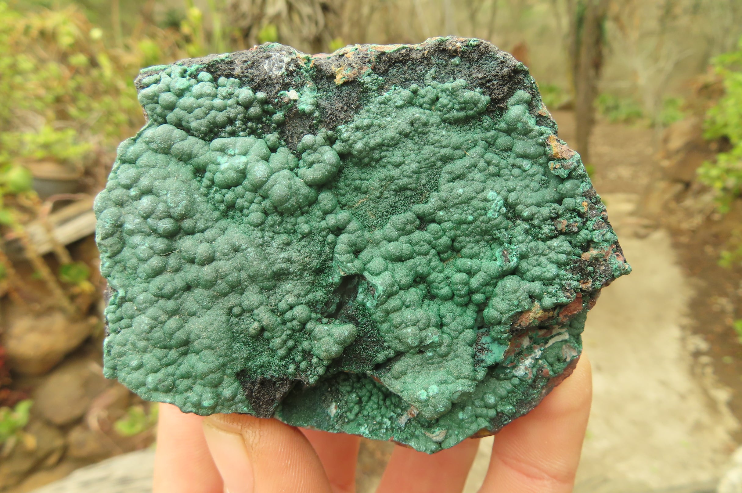 Natural Crystalline Malachite Specimens x 6 From Kasompe, Congo - Toprock Gemstones and Minerals 