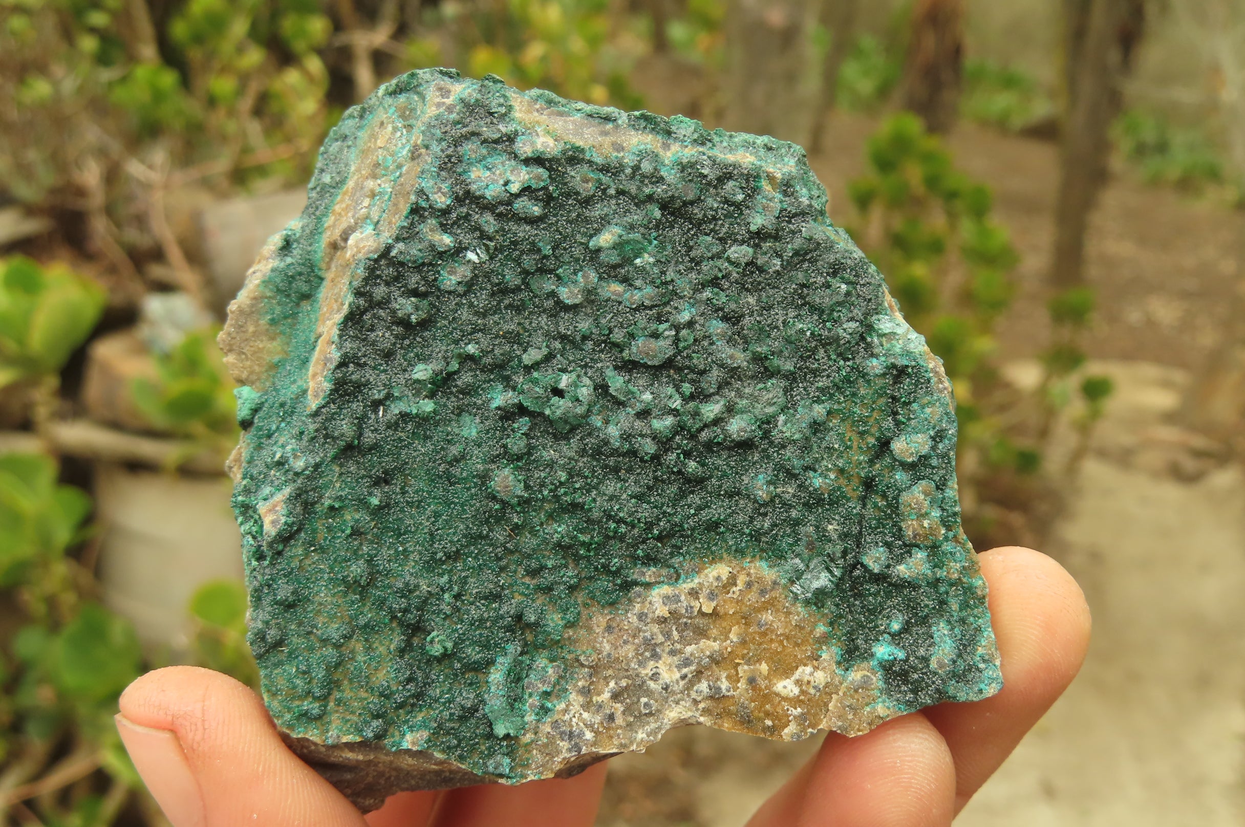 Natural Crystalline Malachite Specimens x 6 From Kasompe, Congo - Toprock Gemstones and Minerals 