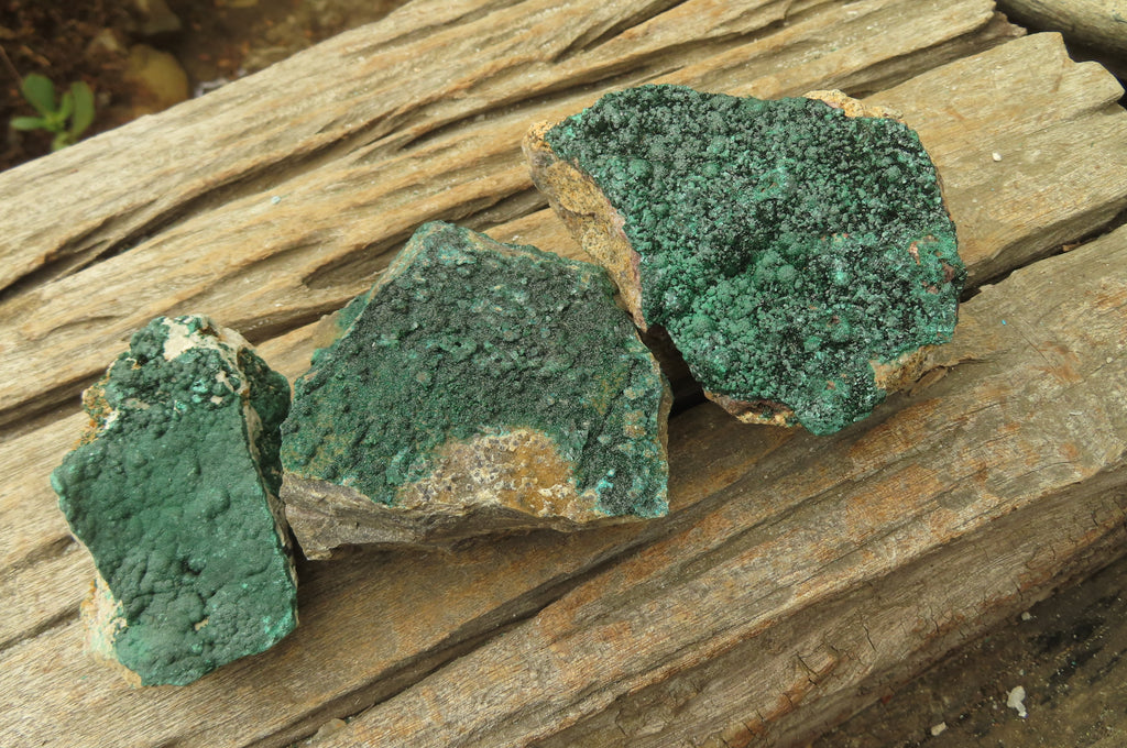 Natural Crystalline Malachite Specimens x 6 From Kasompe, Congo - Toprock Gemstones and Minerals 