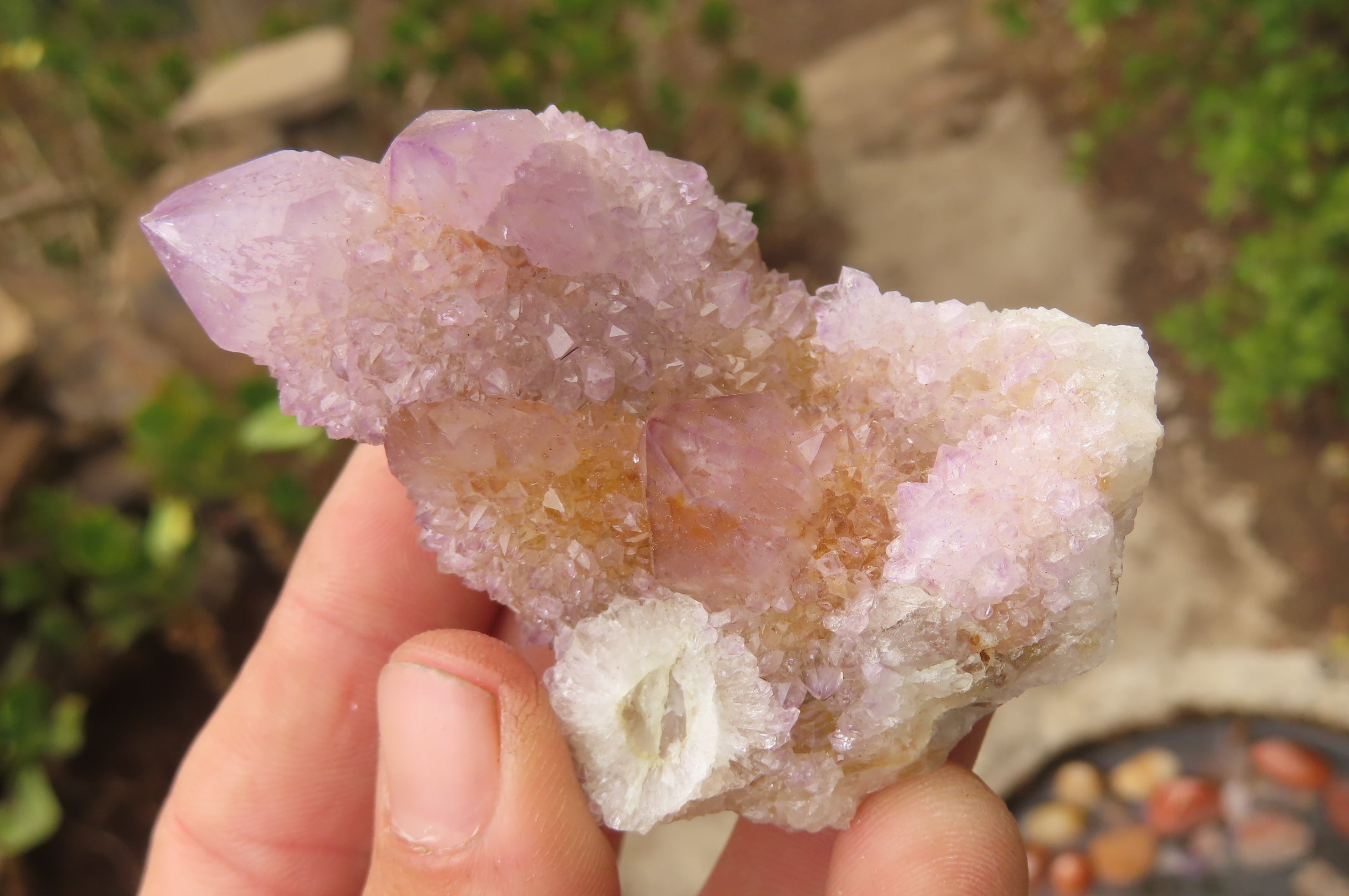 Natural Ametrine Spirit Quartz Clusters x 6 From Boekenhouthoek, South Africa - Toprock Gemstones and Minerals 