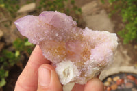 Natural Ametrine Spirit Quartz Clusters x 6 From Boekenhouthoek, South Africa