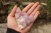 Natural Ametrine Spirit Quartz Clusters x 6 From Boekenhouthoek, South Africa