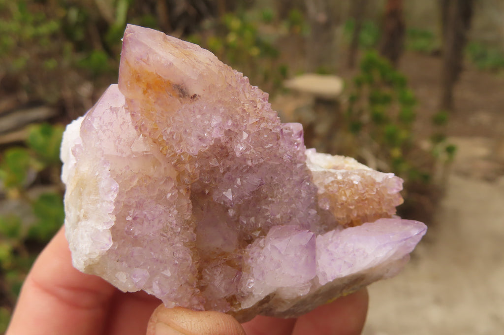 Natural Ametrine Spirit Quartz Clusters x 6 From Boekenhouthoek, South Africa - Toprock Gemstones and Minerals 