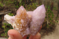 Natural Ametrine Spirit Quartz Clusters x 6 From Boekenhouthoek, South Africa