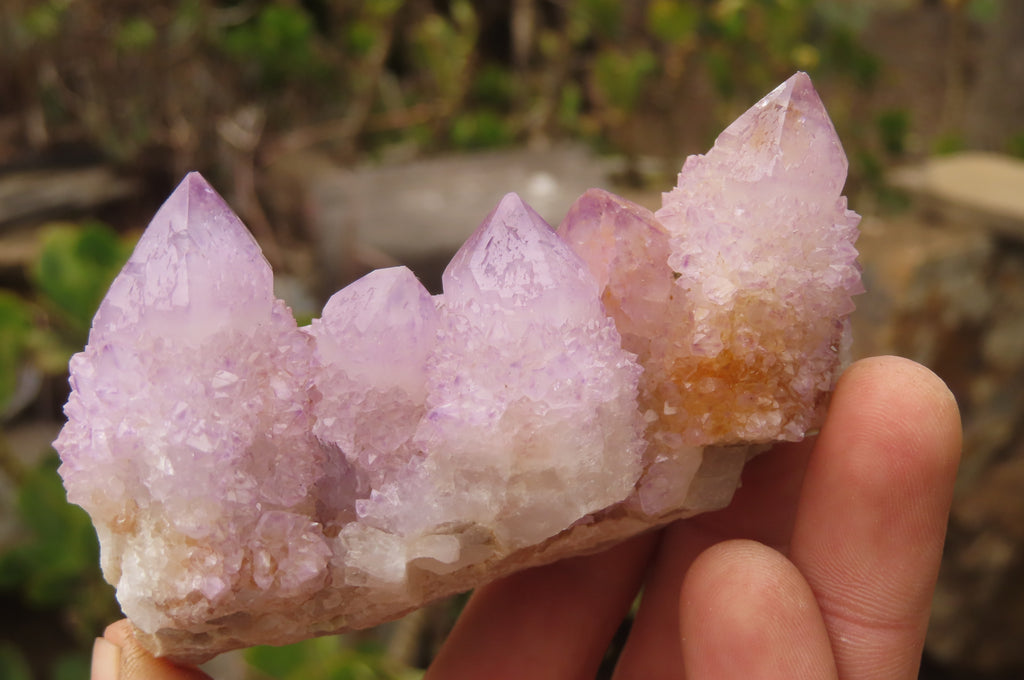 Natural Ametrine Spirit Quartz Clusters x 6 From Boekenhouthoek, South Africa - Toprock Gemstones and Minerals 