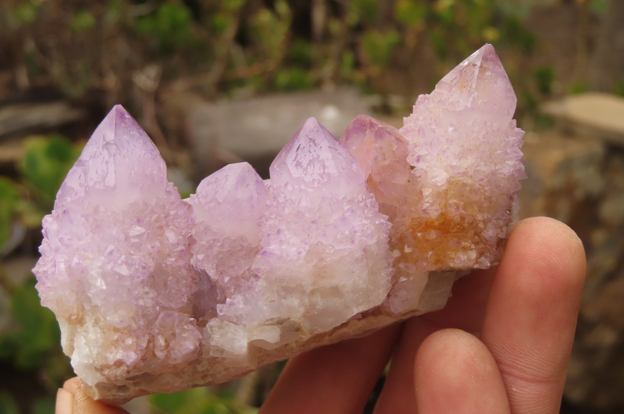 Natural Ametrine Spirit Quartz Clusters x 6 From Boekenhouthoek, South Africa - Toprock Gemstones and Minerals 