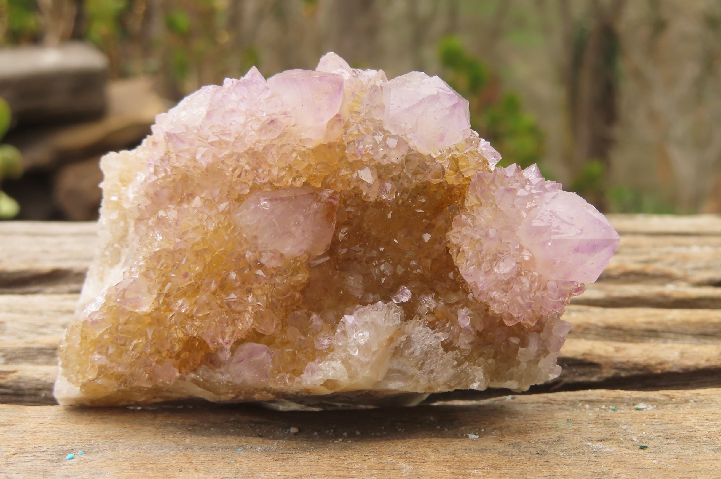 Natural Ametrine Spirit Quartz Clusters x 6 From Boekenhouthoek, South Africa - Toprock Gemstones and Minerals 
