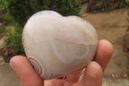Polished Banded Agate Hearts x 6 From Madagascar - Toprock Gemstones and Minerals 