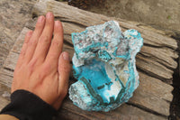 Natural Botryoidal Malacolla Specimens x 2 From Kulukuluku, Congo - Toprock Gemstones and Minerals 