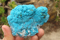 Natural Botryoidal Malacolla Specimens x 2 From Kulukuluku, Congo - Toprock Gemstones and Minerals 