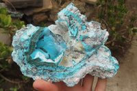 Natural Botryoidal Malacolla Specimens x 2 From Kulukuluku, Congo - Toprock Gemstones and Minerals 