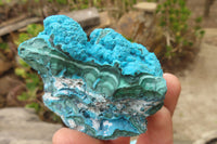 Natural Botryoidal Malacolla Specimens x 2 From Kulukuluku, Congo - Toprock Gemstones and Minerals 