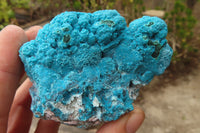 Natural Botryoidal Malacolla Specimens x 2 From Kulukuluku, Congo - Toprock Gemstones and Minerals 